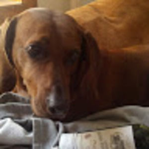 Meet your Posher, Zachary